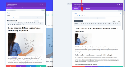 divi vista telefono 2