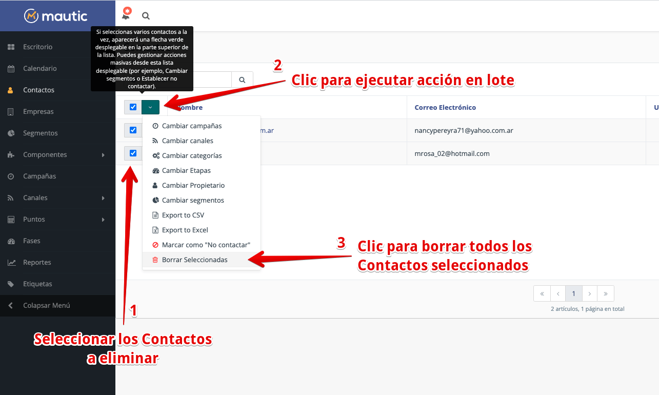 Eliminar Contactos en Mautic