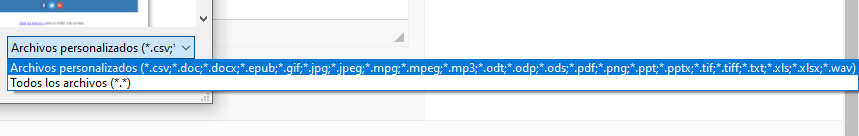 formatos permitidos de un activo en Mautic
