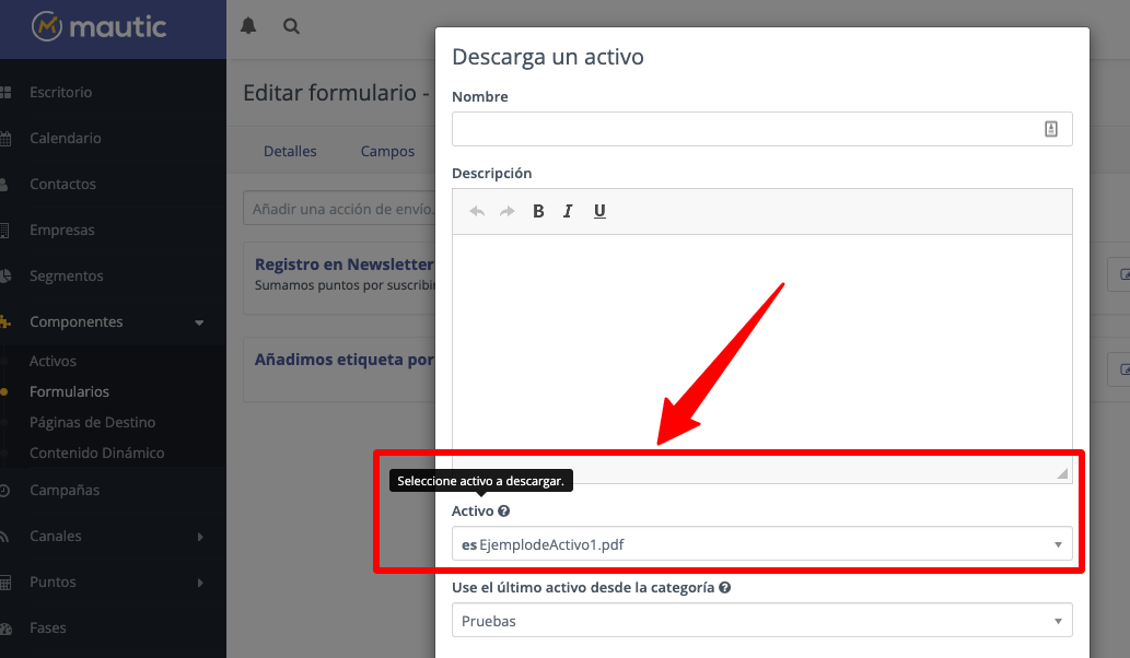 Descargar archivo en activo en Mautic formulario