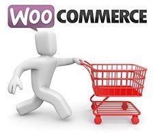 Cambiar el carro de compras de una tienda Cambiar el carro de compras de una tienda con WooCommerce