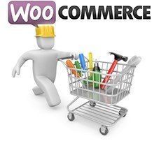 Personaliza los campos del proceso de compra Personaliza los campos del proceso de compra de WooCommerce