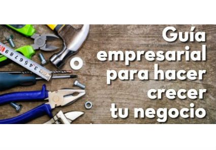 Hosting Guía Crecimiento Empresarial hosting wordpress español