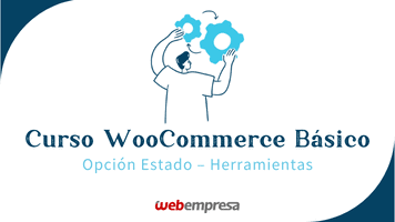 Curso WooCommerce Básico - Opción de Estado - Herramientas