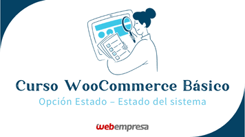 Curso WooCommerce Básico - Opción de Estado - Estado del sistema