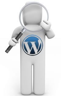 Configurar SEO en WordPress (8ª parte)