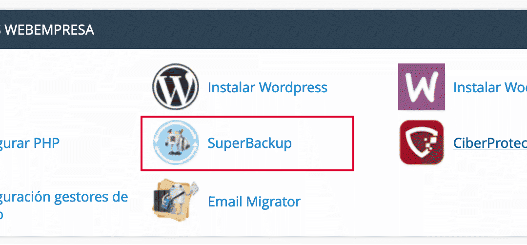 Copias de Seguridad desde el Panel de tu Hosting en WePanel