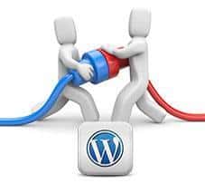 Importar y exportar contenidos de WordPress