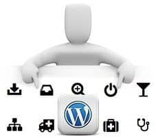 Agregar iconos a los menús en WordPress