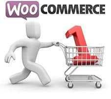 Límite de productos en WooCommerce