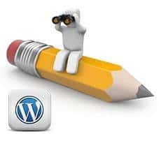 Insertar notas en WordPress