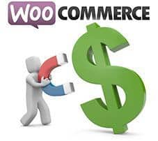 Conversor de divisas para WooCommerce