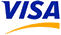pago con visa visa