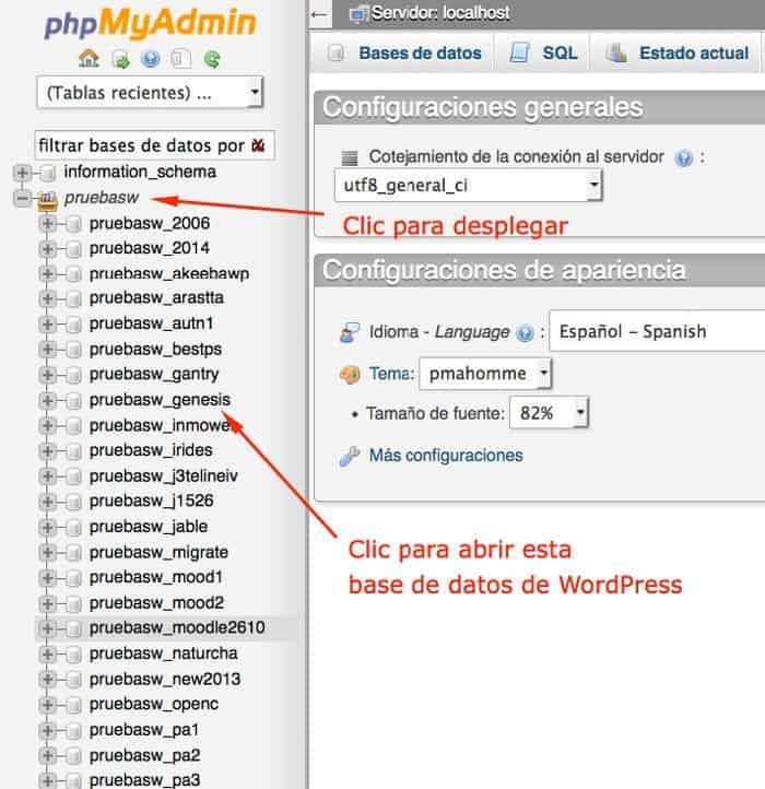 Cambiar el usuario de WordPress desde phpMyAdmin