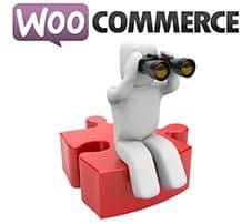 Vista rápida para un producto de WooCommerce