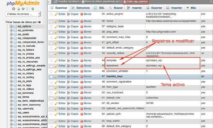 Registros en tabla _options