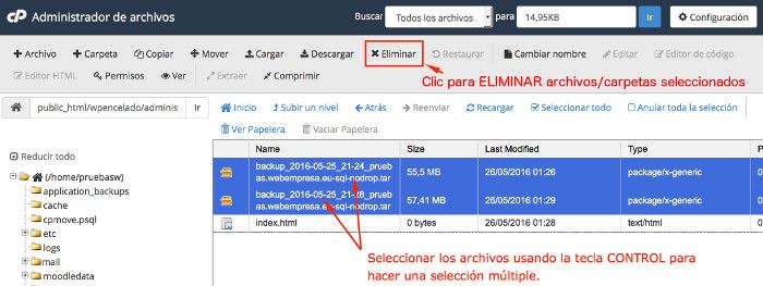 Eliminar archivos en cPanel