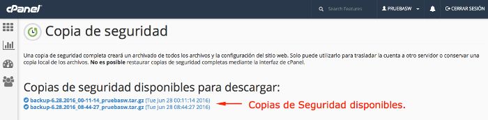 Copias de seguridad disponibles para descargar