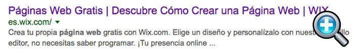 Wix en Google