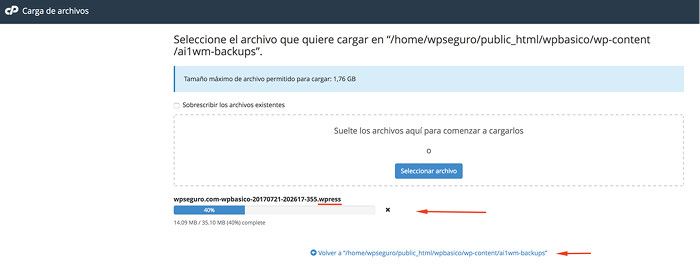 Subir backups al Hosting