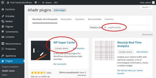 cargar wordpress rápido