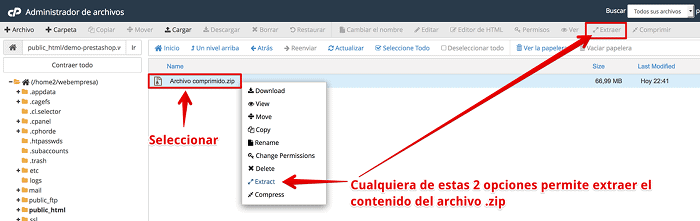 Extraer archivo zip en el Hosting