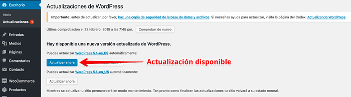 Disponible actualización a WordPress 5.1