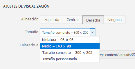 Ajustes de la visualización de imagen en WordPress