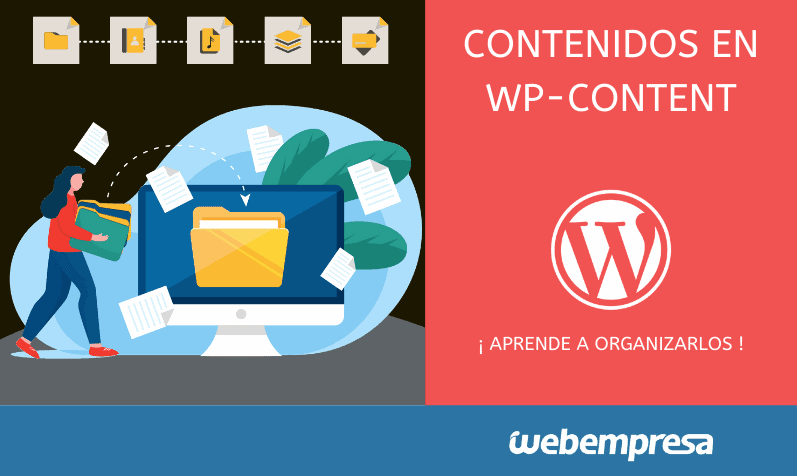 Cómo organizar contenidos en WP-Content