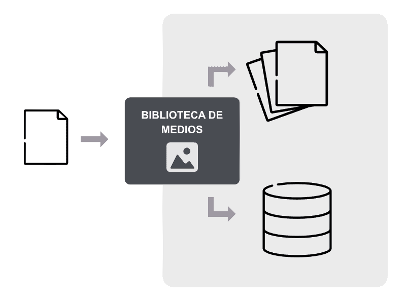 funcionamiento gestor de medios