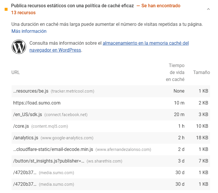 PageSpeed Insights Cache Navegador