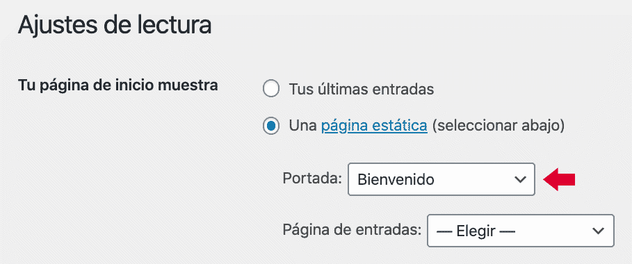 página estática WordPress