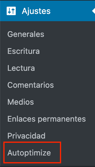 Ajustes Plugin Autoptimize