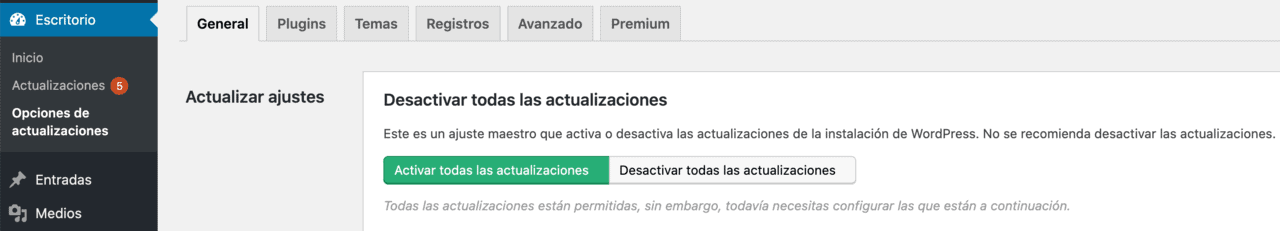 Activar todas las actualizaciones WordPress