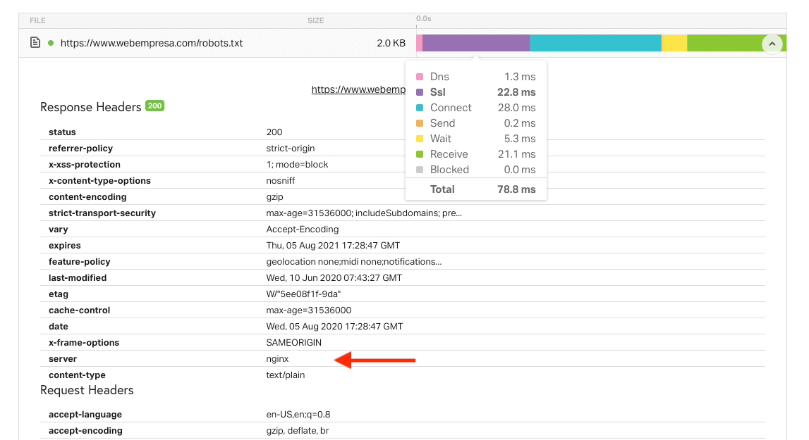 Identificar Nginx