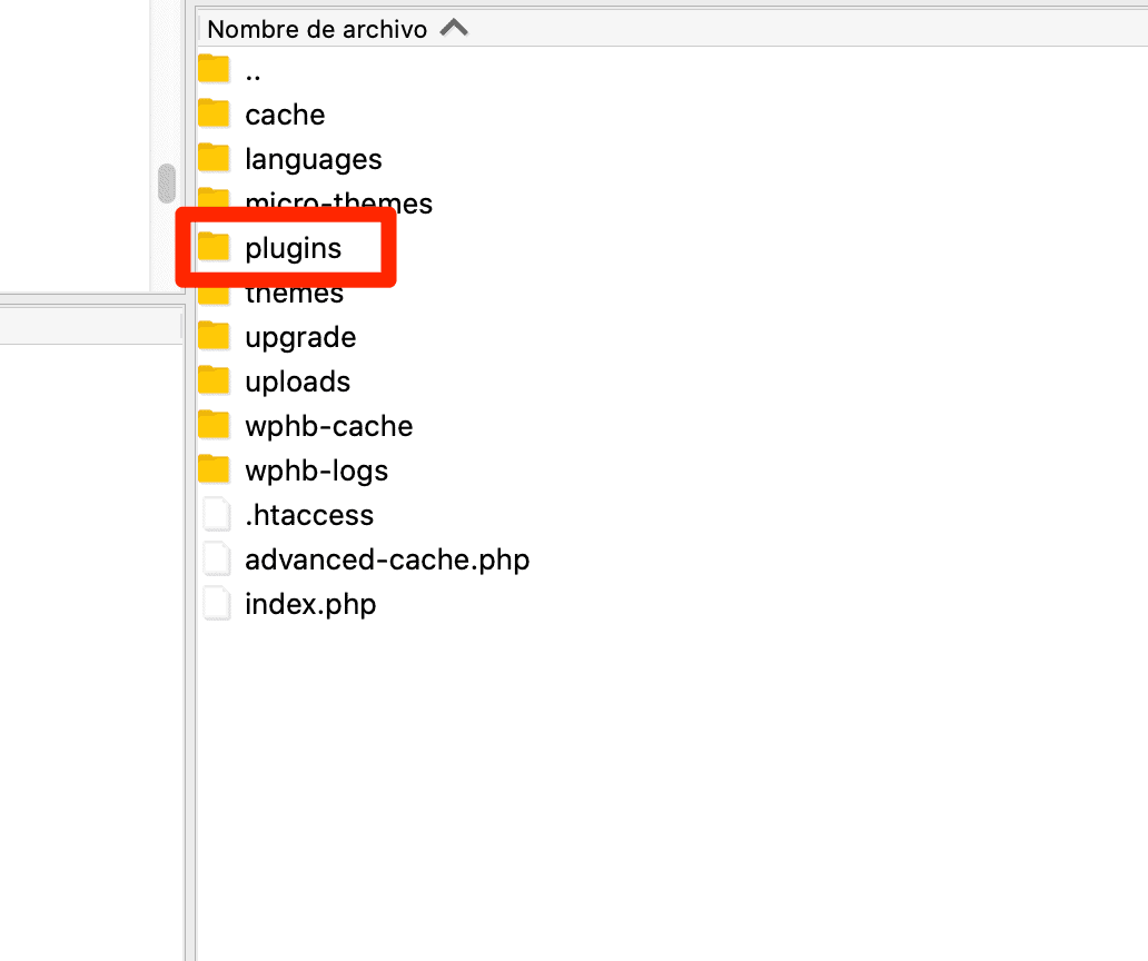 Paso 2 - Carpeta Plugins - Error 503