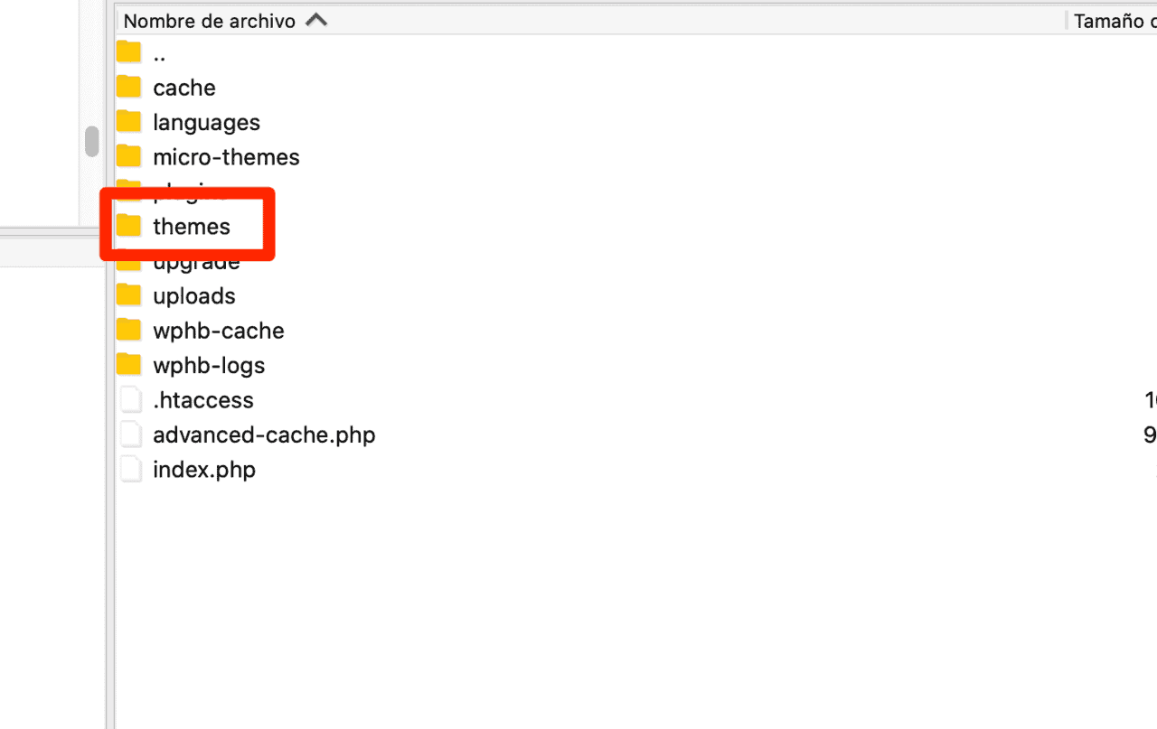 Paso 4 - Carpeta Themes - Error 503