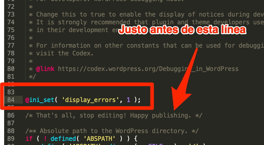 Paso 6 - Carpeta WP Config - Error 503