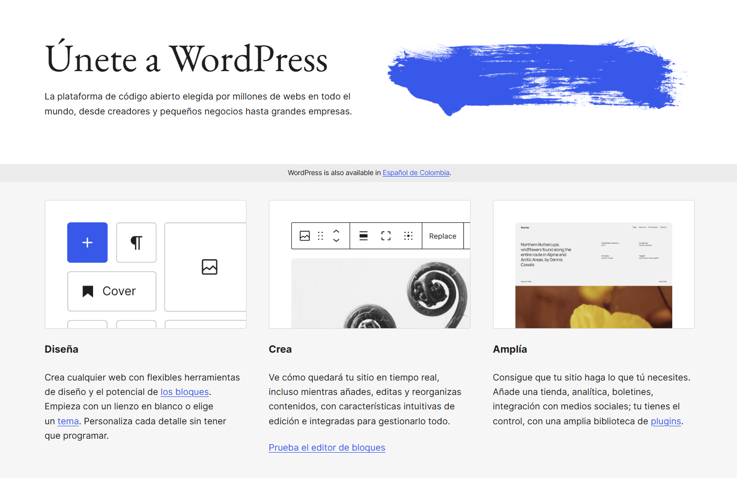wordpress 