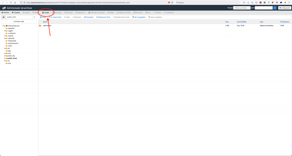 Subir WordPress con Duplicator