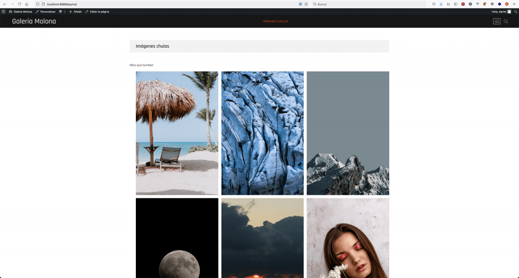 Subir WordPress con Duplicator