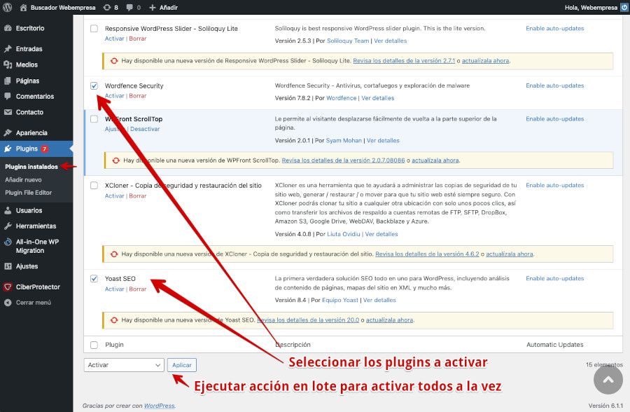 Ejecutar acción en lote para activar los plugins de WordPress