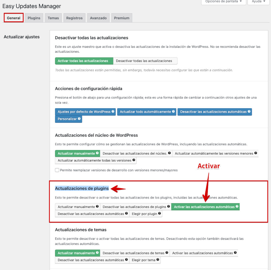 Actualizaciones de plugins - Activar las actualizaciones automáticas