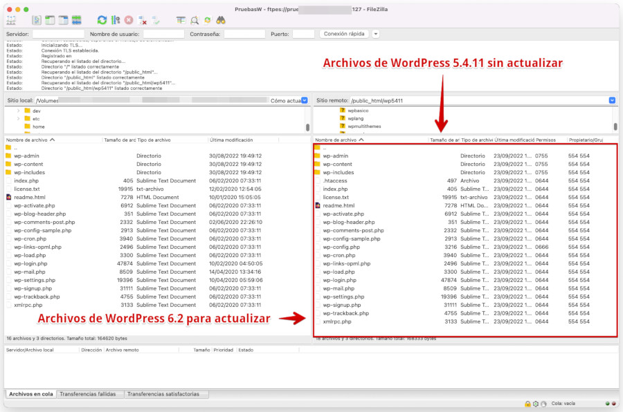 Actualización de WordPress por FTP con Filezilla