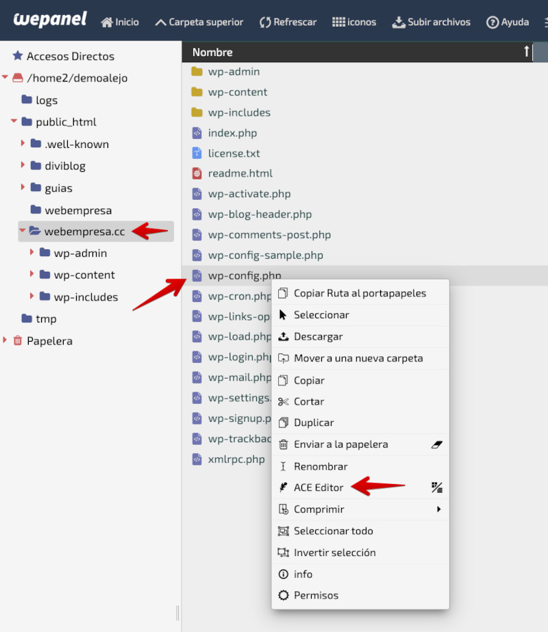 Administrador de Archivos WePanel - Editar archivo wp-config.php