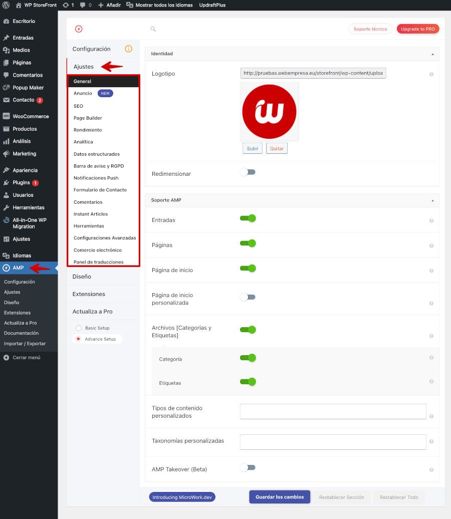 Ajustes generales del plugin AMP