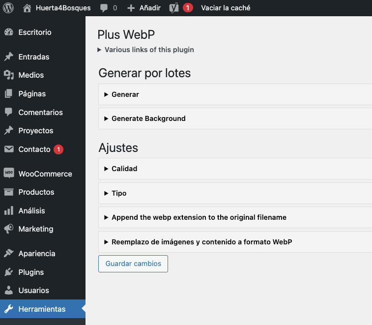 Ajustes del plugin Plus WebP