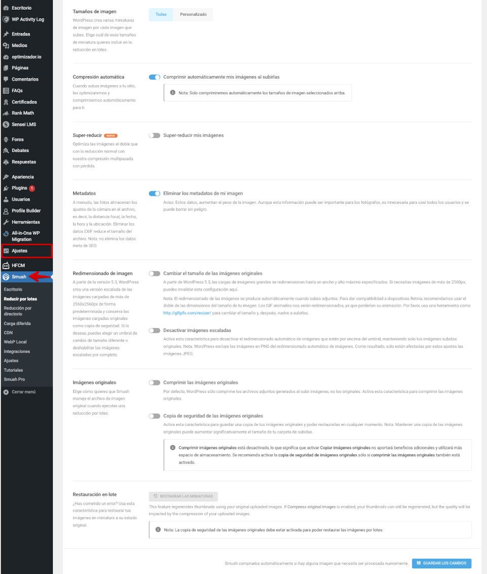 Ajustes generales del plugin Smush