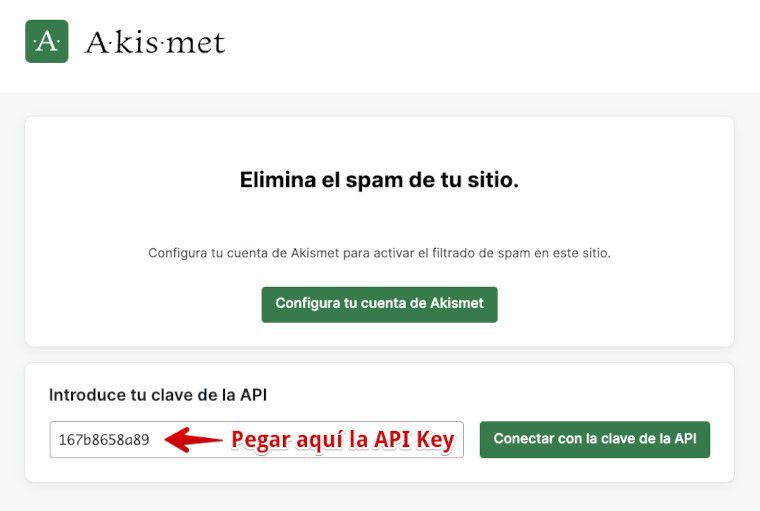 Añadir API Key en los ajustes de Akismet