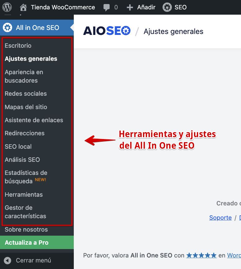 All In One SEO - Ajustes del plugin